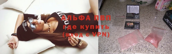прущие грибы Абинск