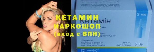 мет Алексин