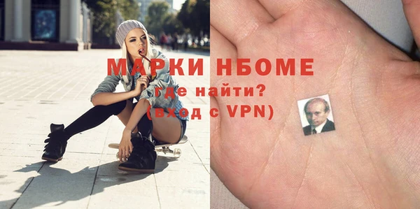 прущие грибы Абинск