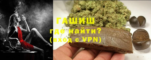 прущие грибы Абинск