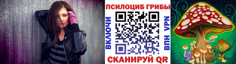 где купить наркоту  Златоуст  OMG tor  Псилоцибиновые грибы прущие грибы 