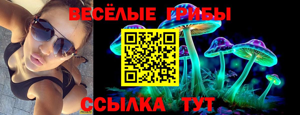 Галлюциногенные грибы Psilocybine cubensis  Вход с VPN  Златоуст 